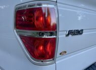 2013 Ford F-150 Flex Fuel
